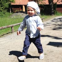 Skansen: Open-Air Museum and Nordic Zoo — gallery 2