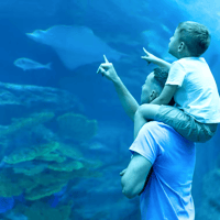 Dubai Aquarium & Underwater Zoo: Gold Pass — gallery 3