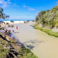 From Hervey Bay: K'gari (Fraser Island) 1-Day Classic Coach Tour with Lunch — gallery 1