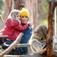 Koala Conservation Reserve Tickets & Optional Entry to Phillip Island Nature Parks — gallery 1