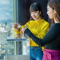 Tickets to Hiroshima Orizuru Tower — gallery 1