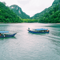 Langkawi Mangrove Tour — gallery 1