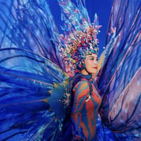 Varuna Underwater Show Tickets — gallery 5
