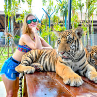 Tiger Park Tickets with Tiger Play Packages — gallery 2