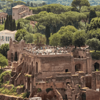 Colosseum, Palatine Hill & Roman Forum with Exclusive Arena Floor Guided Tour — gallery 3
