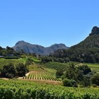 Cape Town: Cape Peninsula & Boulders Beach Tour — gallery 2