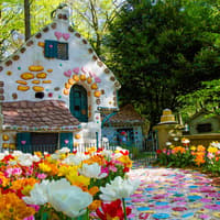 Efteling: Indgangsbillet, Efteling, Kaatsheuvel