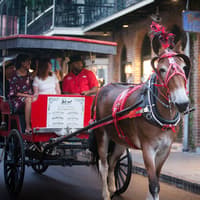 French Quarter Ghost Tour by Mule Drawn Carriage — gallery 1
