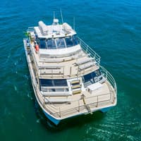 Sydney Whale Watching Cruise — gallery 1