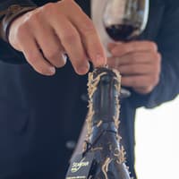 Barcelona: 2-Hr Sailing Experience + Underwater Wine Tasting — gallery 2