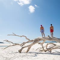 Whitehaven Beach: Cruise from Airlie Beach + Hill Inlet Guided Tour + BBQ — gallery 3