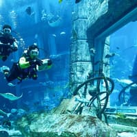 Atlantis Snorkeling & Scuba Diving — gallery 4