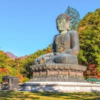 Nami Island & Mount Seorak Day Tour — gallery 2