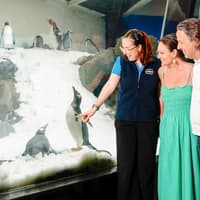 Penguin Passport Tickets: Guided Encounter at SEA LIFE Melbourne Aquarium — gallery 4