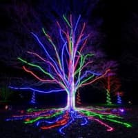 Lightscape Brooklyn — gallery 2