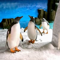 SEA LIFE Melbourne Aquarium Tickets — gallery 2