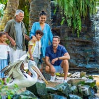 Bali Bird Park Tickets + Optional Lunch with Bird Stars — gallery 3