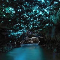 Geführte Tour durch die Waitomo-Glühwürmchenhöhlen, Waitomo Caves, Waitomo