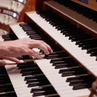 St. Stephen's Cathedral: Giant Organ Concerts Ticket — gallery 4