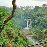 Best Ubud Tour: Monkey forest, Rice Terrace & Waterfall — gallery 2