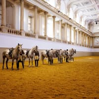 Spanish Riding School Training with Music Tickets — gallery 1