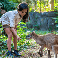 Bali Zoo Entry Tickets — gallery 1