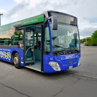 ACTV Aerobus Bus Transfer: Venice Marco Polo Airport to/from Venice Piazzale Roma — gallery 2