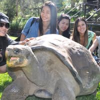 Australian Reptile Park Ticket — gallery 1