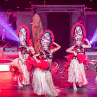 Rock-A-Hula Show — gallery 4