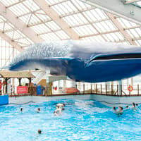 Aquaboulevard Water Park Full-Day Tickets — gallery 2