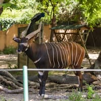 Barcelona Zoo: Skip The Line Ticket — gallery 3