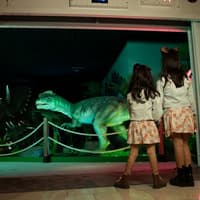 بلیت ورودی: پاسگاه دایناسور, Dinosaur Outpost, Las Vegas