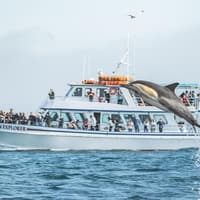 Los Angeles: Luxury Whale Watching Tour — gallery 2