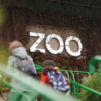 Edinburgh Zoo Entrance Tickets — gallery 3