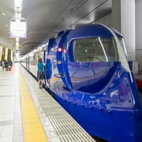 Rapi:t Nankai Limited Express: Train Transfers Between Kansai Airport & Namba Station — gallery 1