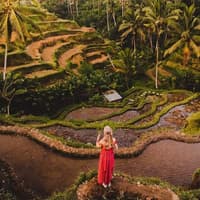 Best Ubud Tour: Monkey forest, Rice Terrace & Waterfall — gallery 3
