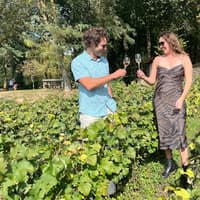 Reims: Champagne Tasting with Cellars Visit Day Trip from Paris — gallery 1