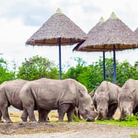 Safari World + Marine Park Tickets with Lunch and Optional Transfers — gallery 3