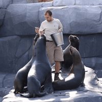 Paris Zoological Park: Entry Ticket — gallery 1