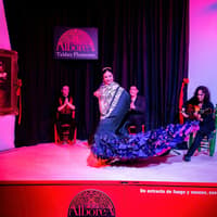 La Alboreá - Flamenco Show — gallery 2