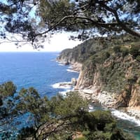 Costa Brava: Guided Day Tour from Barcelona — gallery 4