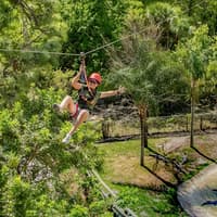 Gatorland Tickets with Screamin’ Gator Zip Line Access — gallery 3