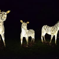 Zoo Lights at Zoo Miami — gallery 2