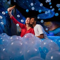 Madurodam: Entry Ticket — gallery 4