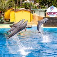 Selwo Marina Skip-the-Line Tickets — gallery 1