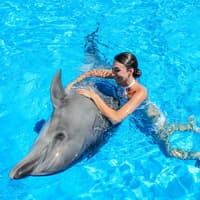 Dolphinarium Pattaya - Swim with Dolphins Experience — gallery 2