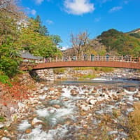 Nami Island & Mount Seorak Day Tour — gallery 3