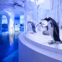 SEA LIFE London Aquarium: Standard Admission Tickets — gallery 2