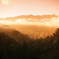 La Palma: Small Group Guided Day Tour from Tenerife + Lunch + Boat Ride — gallery 1