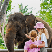 Bali Zoo Entry Tickets — gallery 3